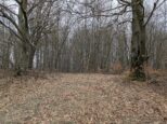 Koniec súbežného úseku so zelenou trasou (2025)